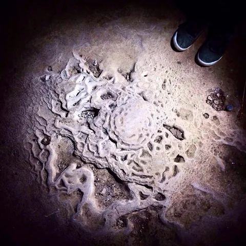 Каменная летопись встречи цивилизаций